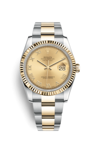 Rolex Datejust 116233: The Perfect Blend of Steel and Gold Review and feedback. Is it worth the investment?